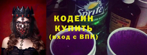 мдпв Вяземский