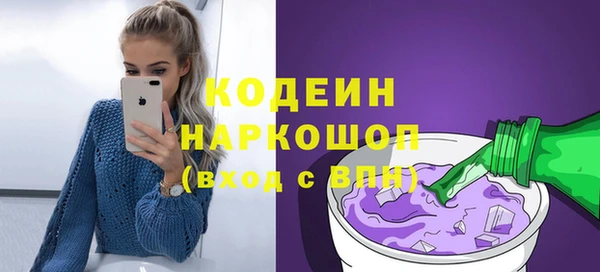 мдпв Вяземский