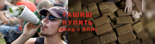 мдпв Вяземский