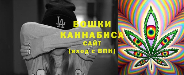 мдпв Вяземский